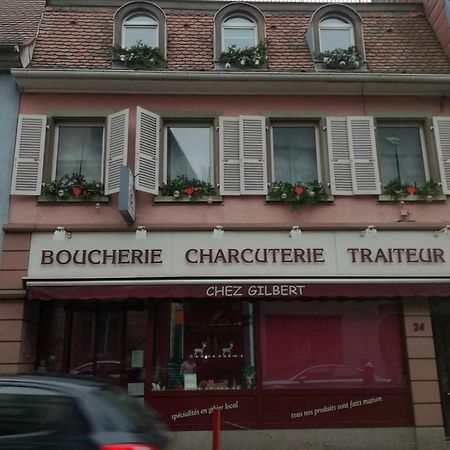 "Cote Nature", Appartement Cosy Au Coeur De Munster Munster  Bagian luar foto