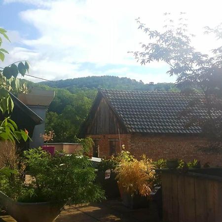 "Cote Nature", Appartement Cosy Au Coeur De Munster Munster  Bagian luar foto