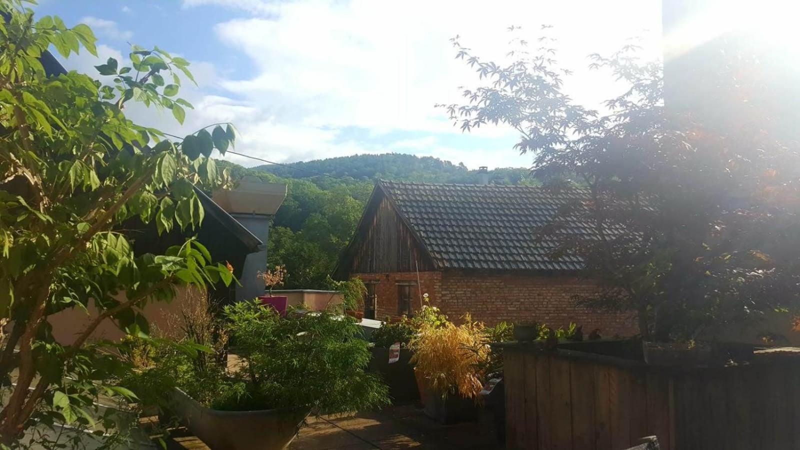 "Cote Nature", Appartement Cosy Au Coeur De Munster Munster  Bagian luar foto