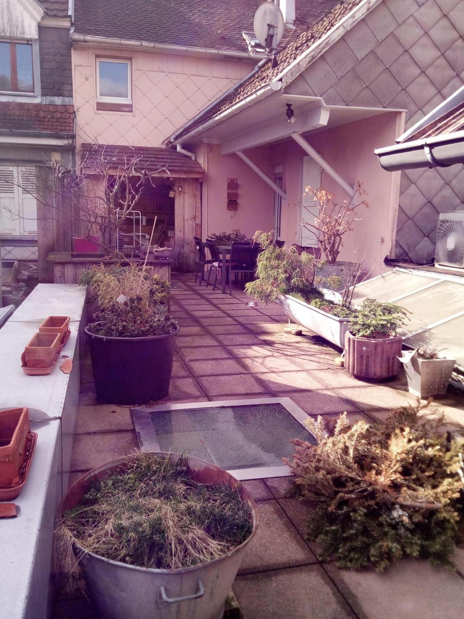 "Cote Nature", Appartement Cosy Au Coeur De Munster Munster  Bagian luar foto