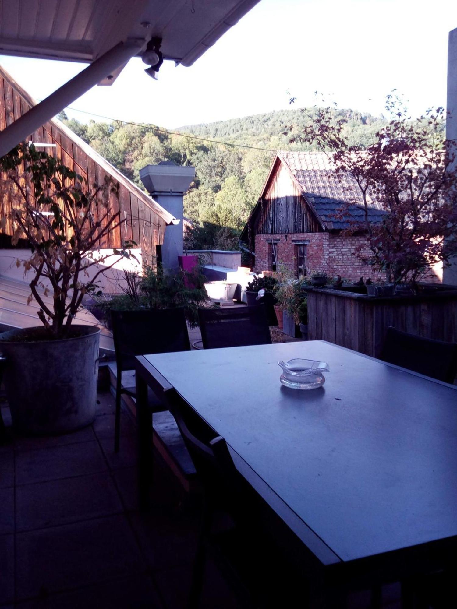 "Cote Nature", Appartement Cosy Au Coeur De Munster Munster  Bagian luar foto